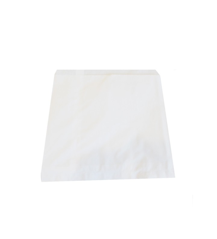 Sac Kraft Blanc 240x300 //500
