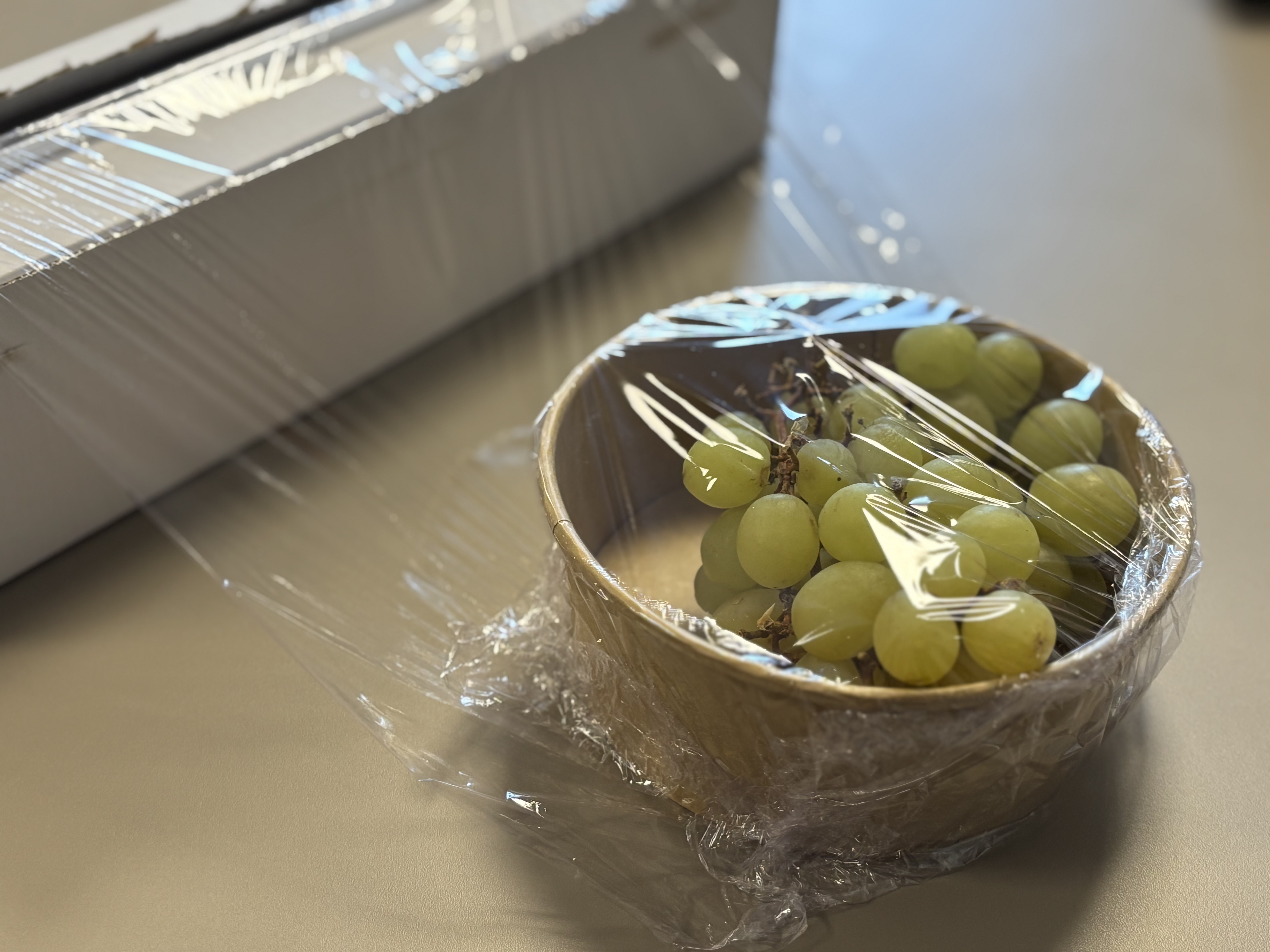 Film alimentaire}